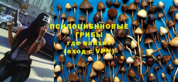 PSILOCYBIN Алзамай