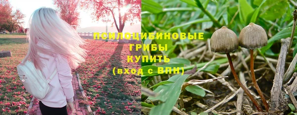 герыч Абаза