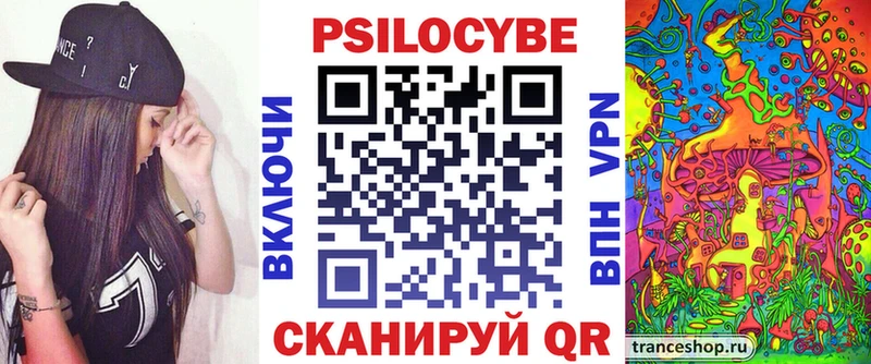 OMG зеркало  Устюжна  Псилоцибиновые грибы Cubensis 